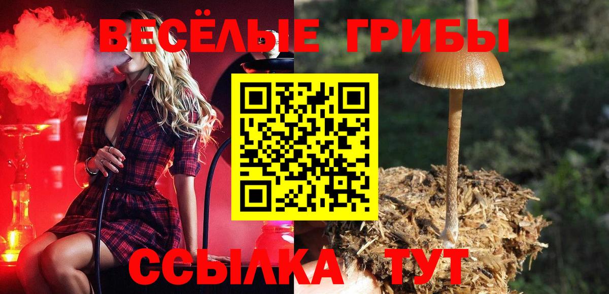 Псилоцибиновые грибы прущие грибы  Вход с VPN  Горячий Ключ 